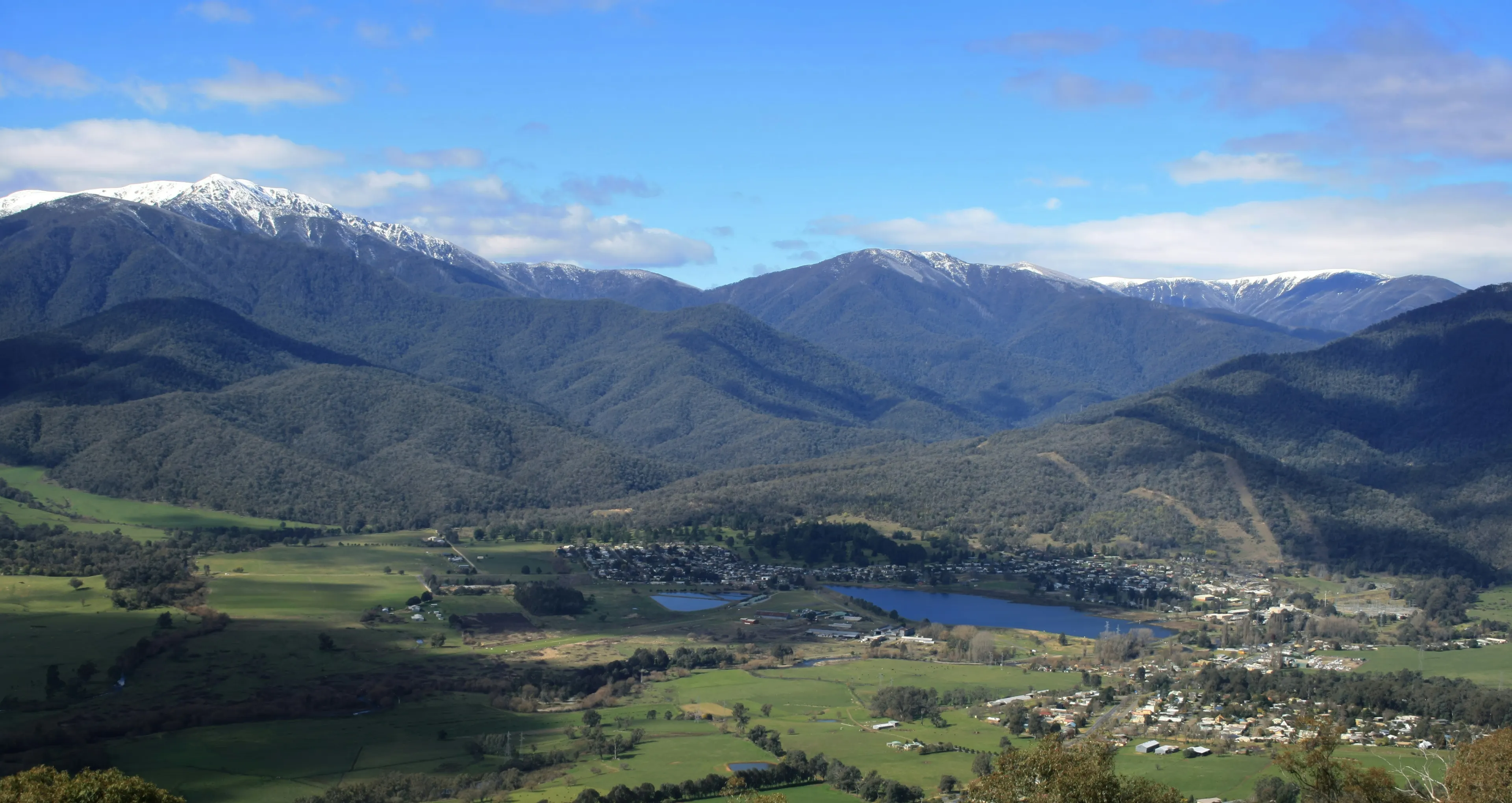 gisborne.webp