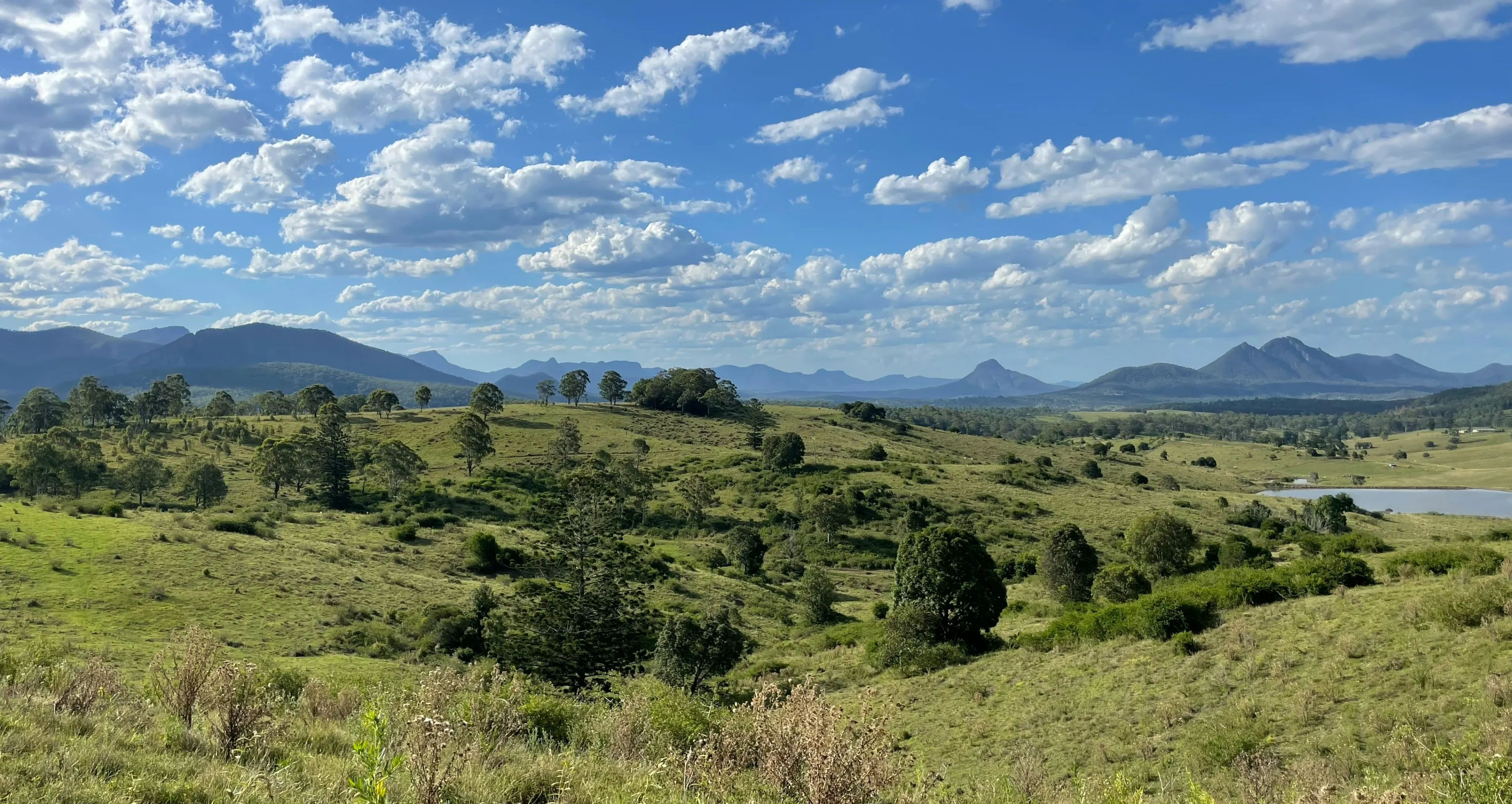 gympie.webp