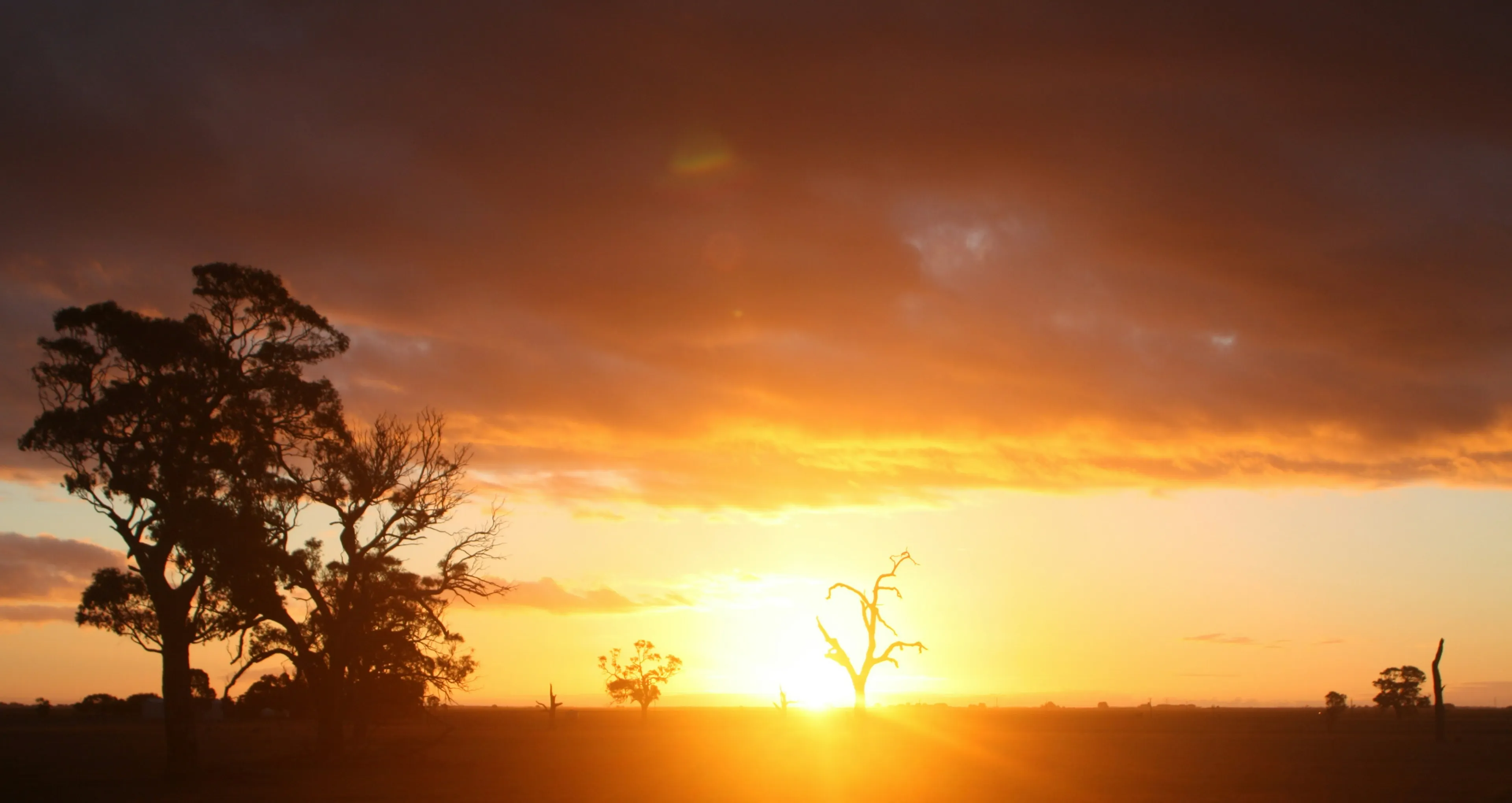 port-pirie.webp