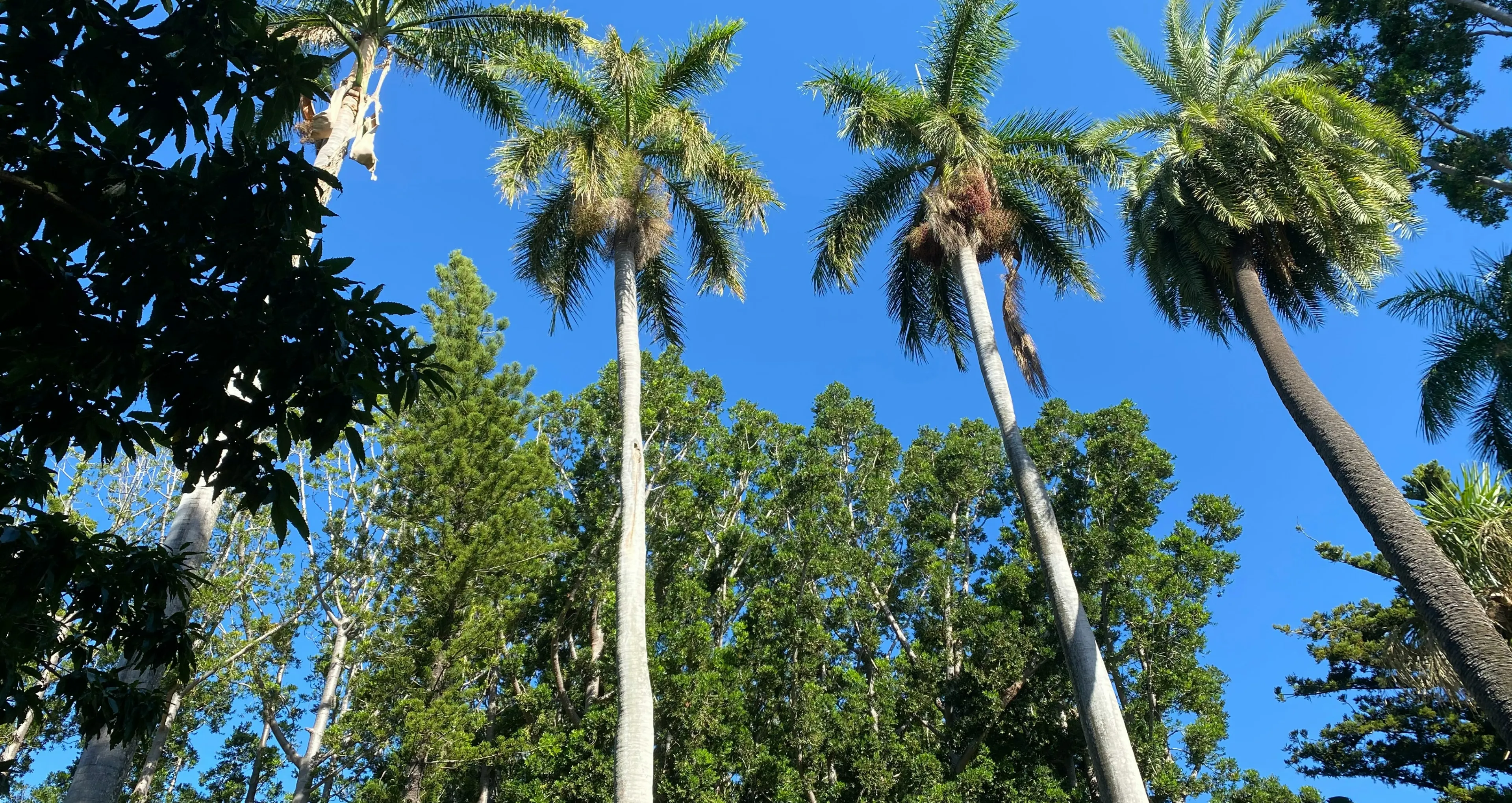 rockhampton.webp