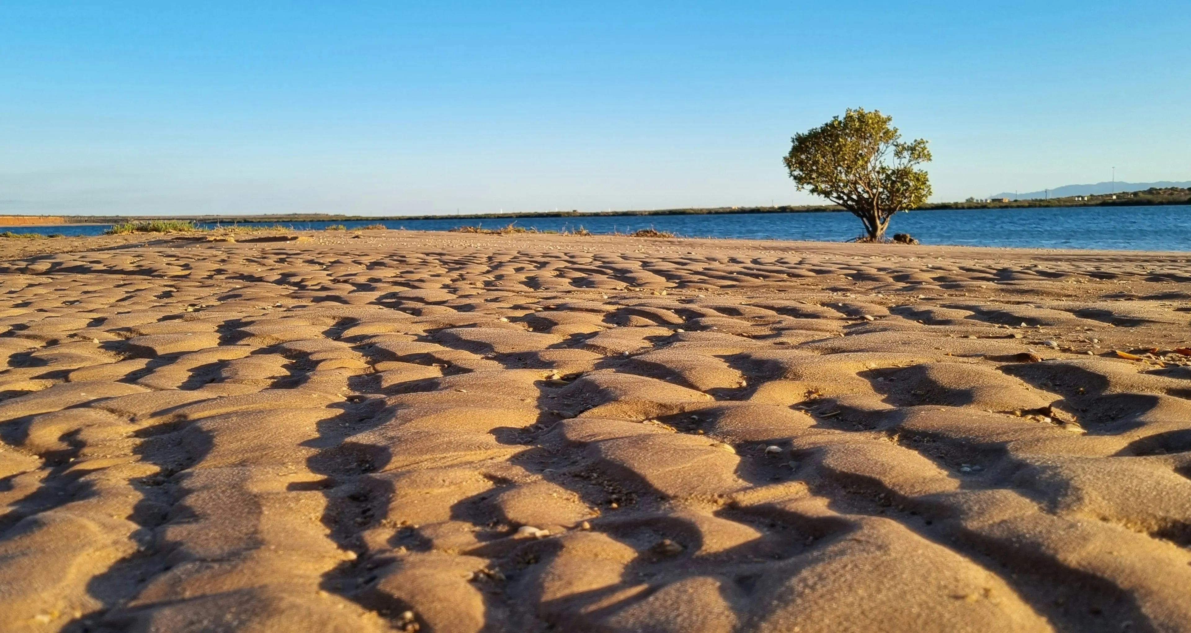 port-augusta.webp