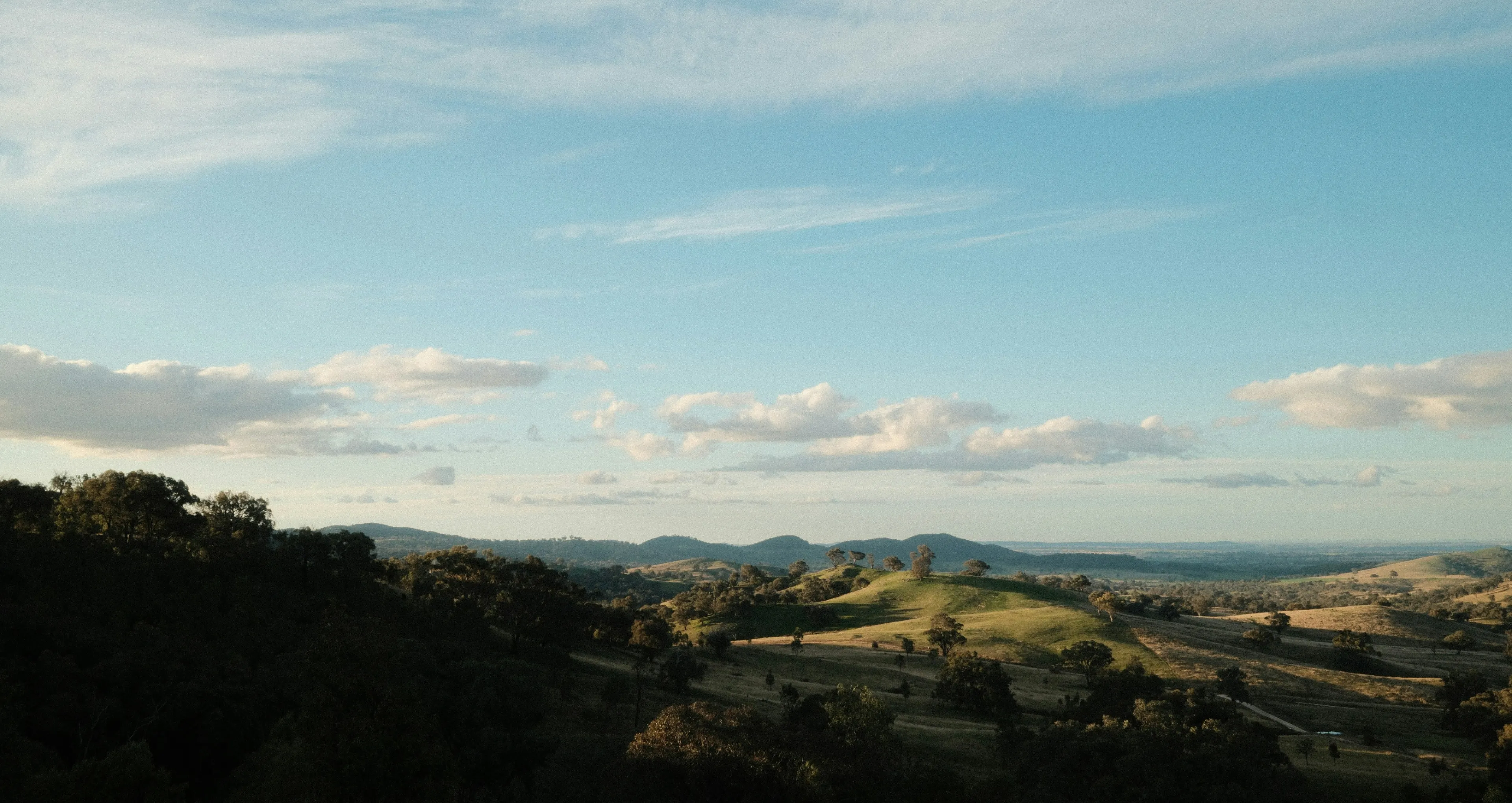 mudgee.webp