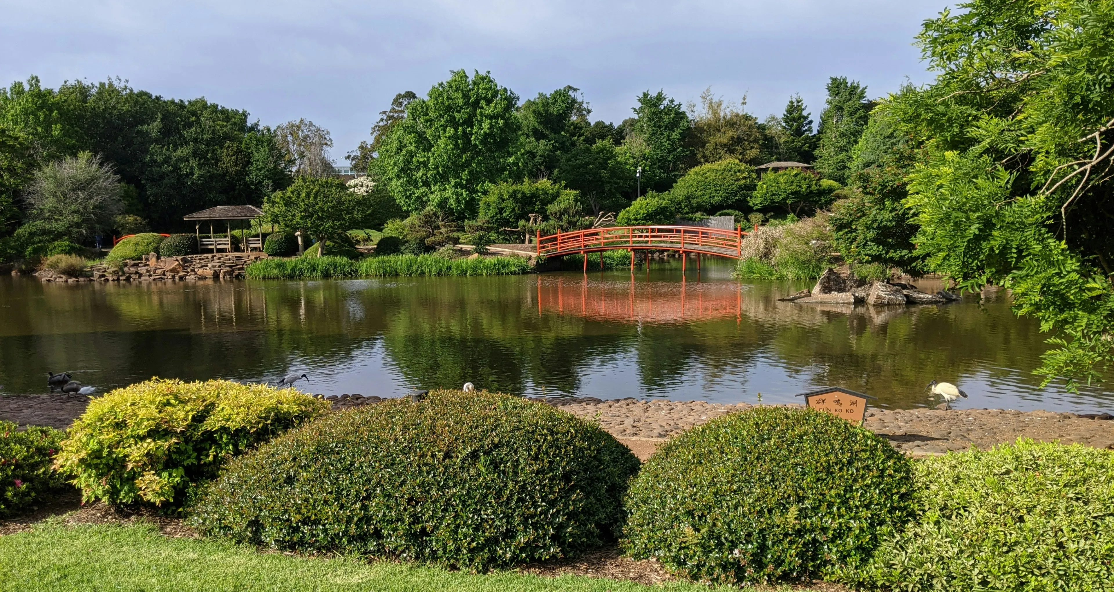 toowoomba.webp
