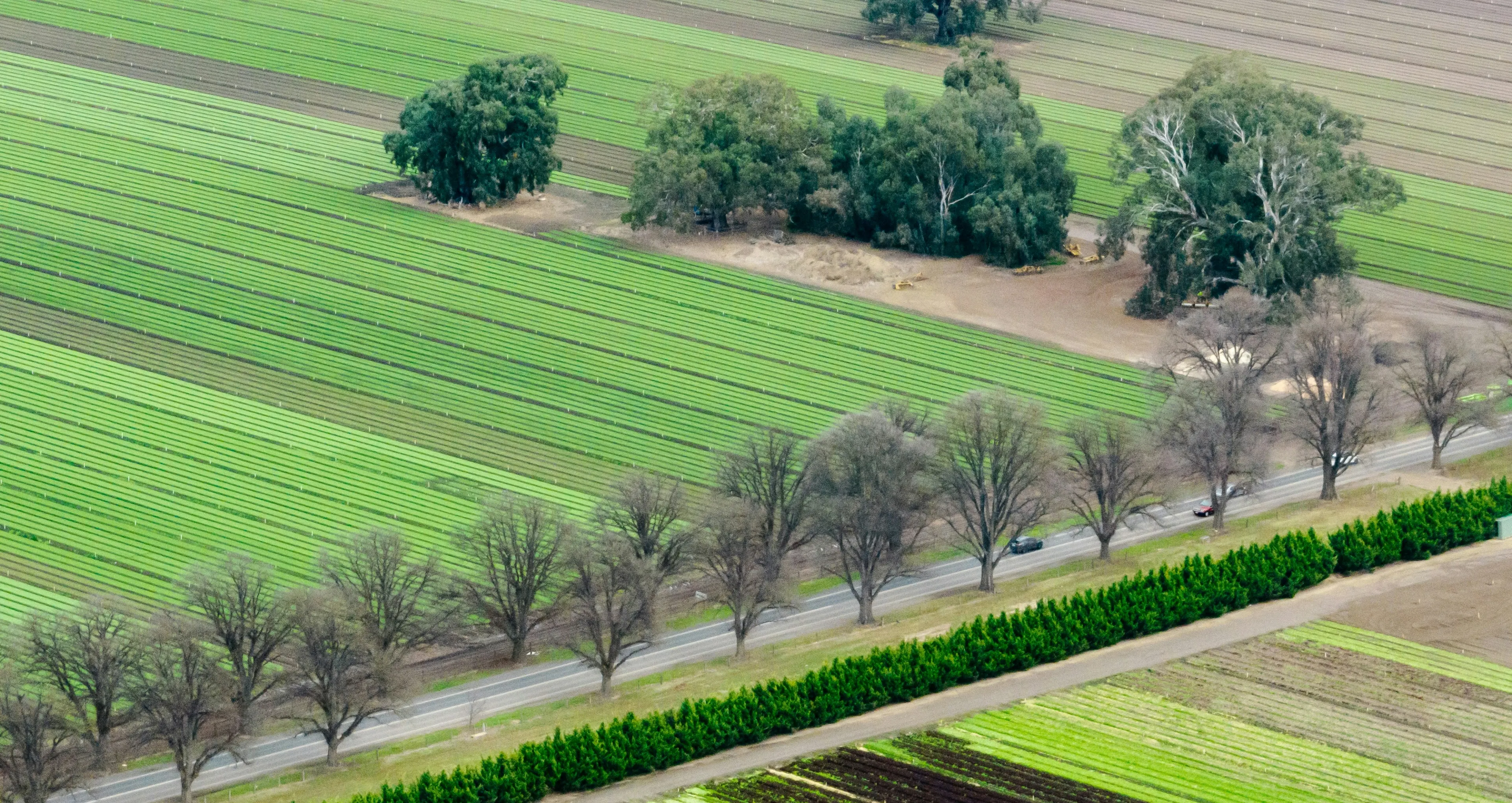bacchus-marsh.webp