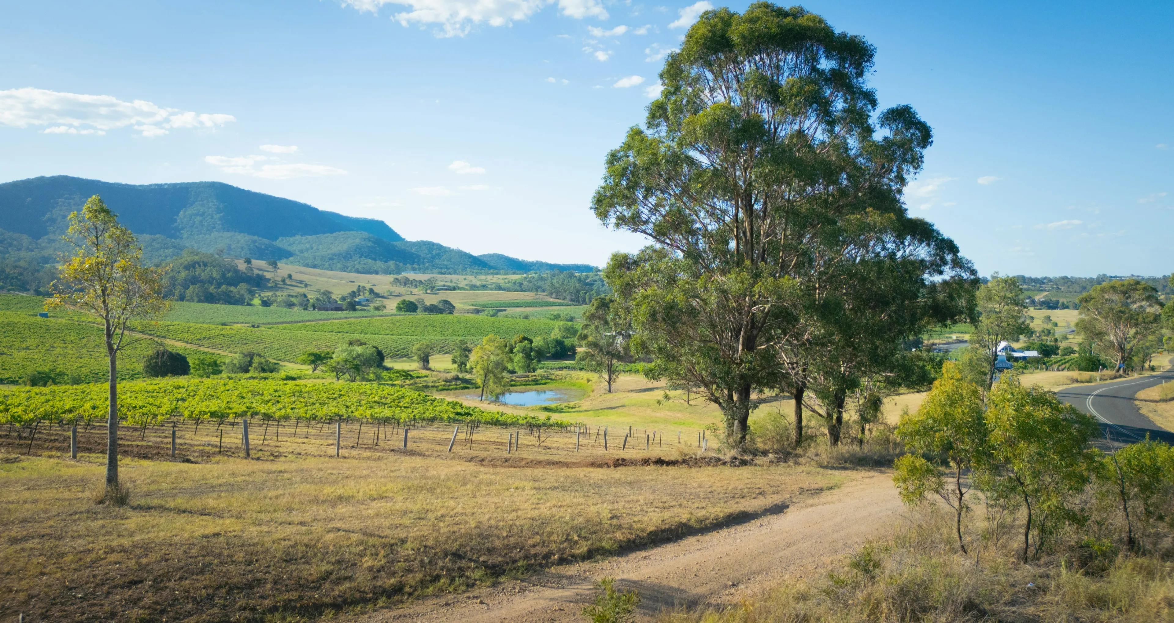 wangaratta.webp