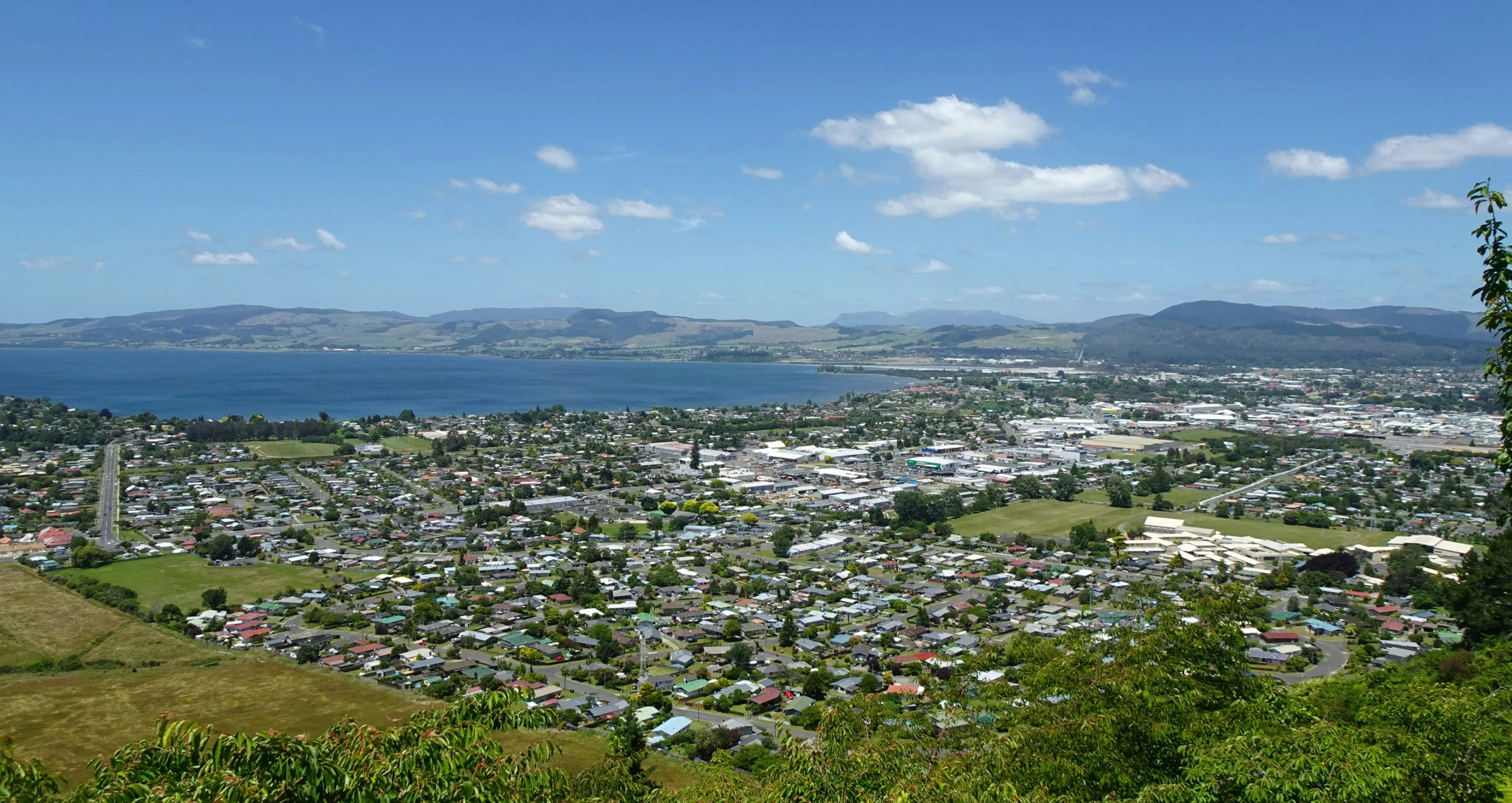 colac.webp